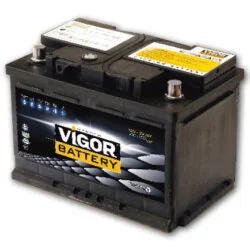 قیمت باتری-ویگور