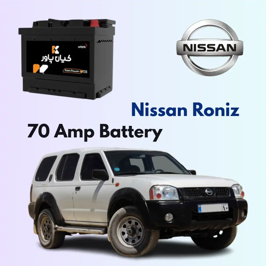 Nissan Roniz Battery Replacement