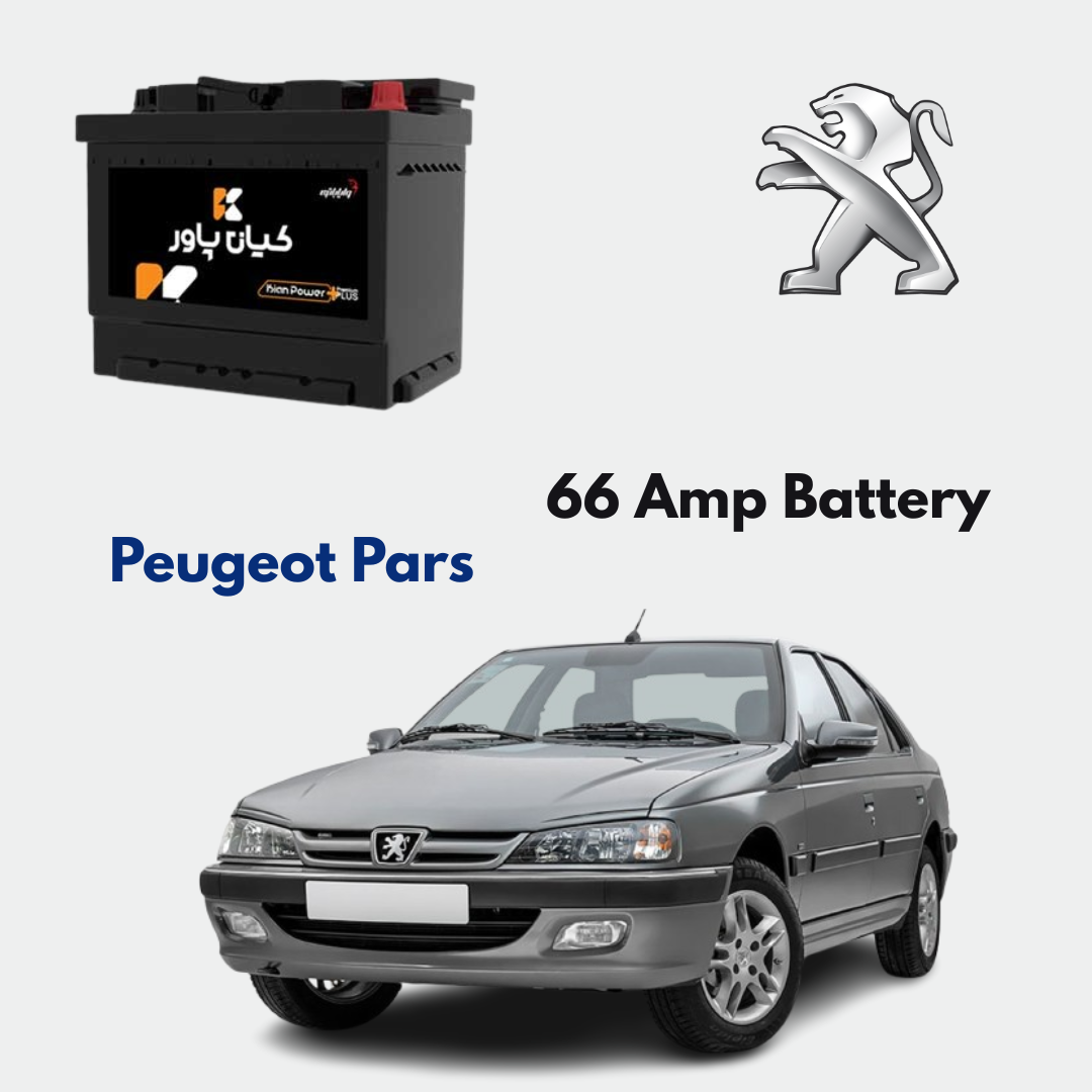 Peugeot Pars Battery Replacement