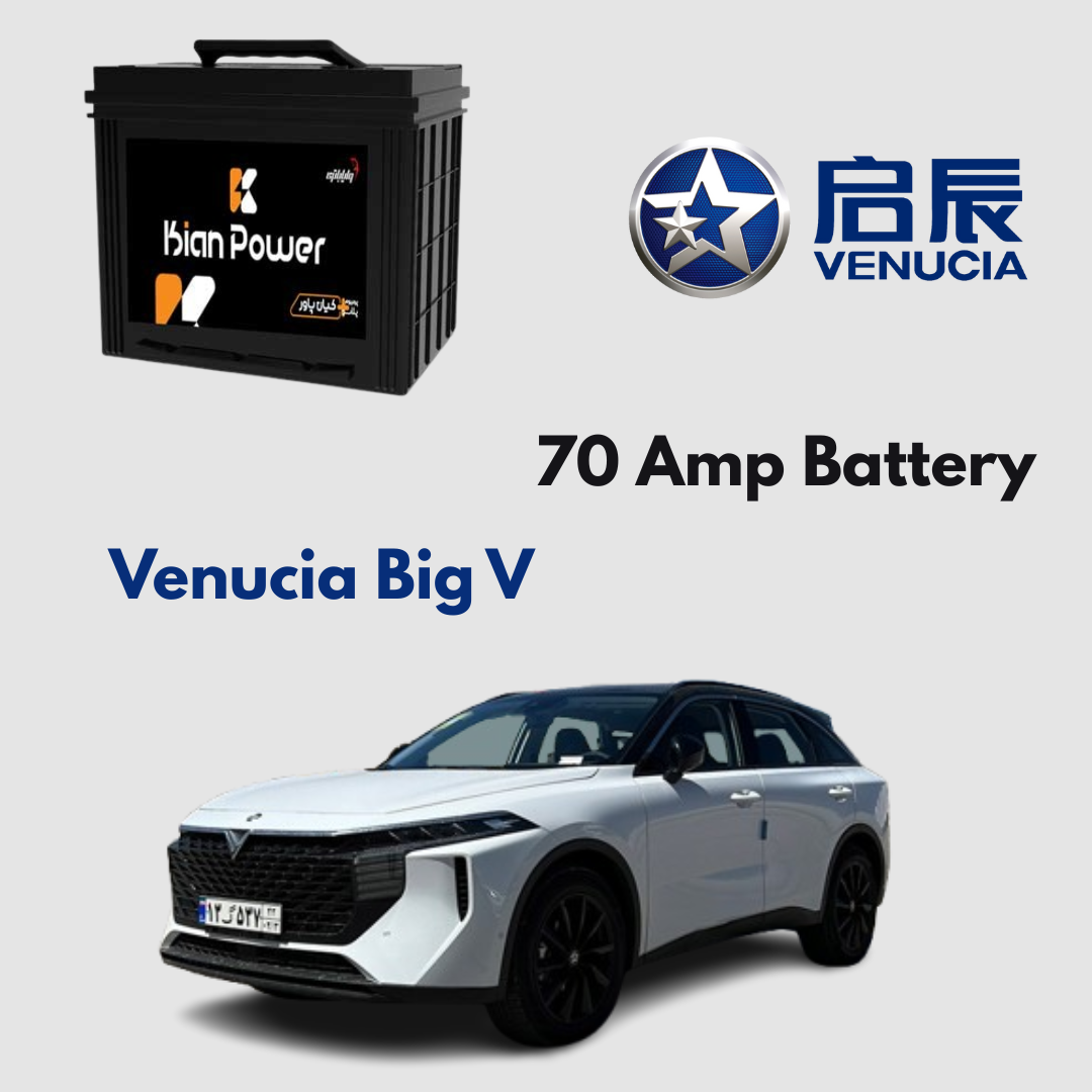 Venucia Big V Plus Battery Replacement