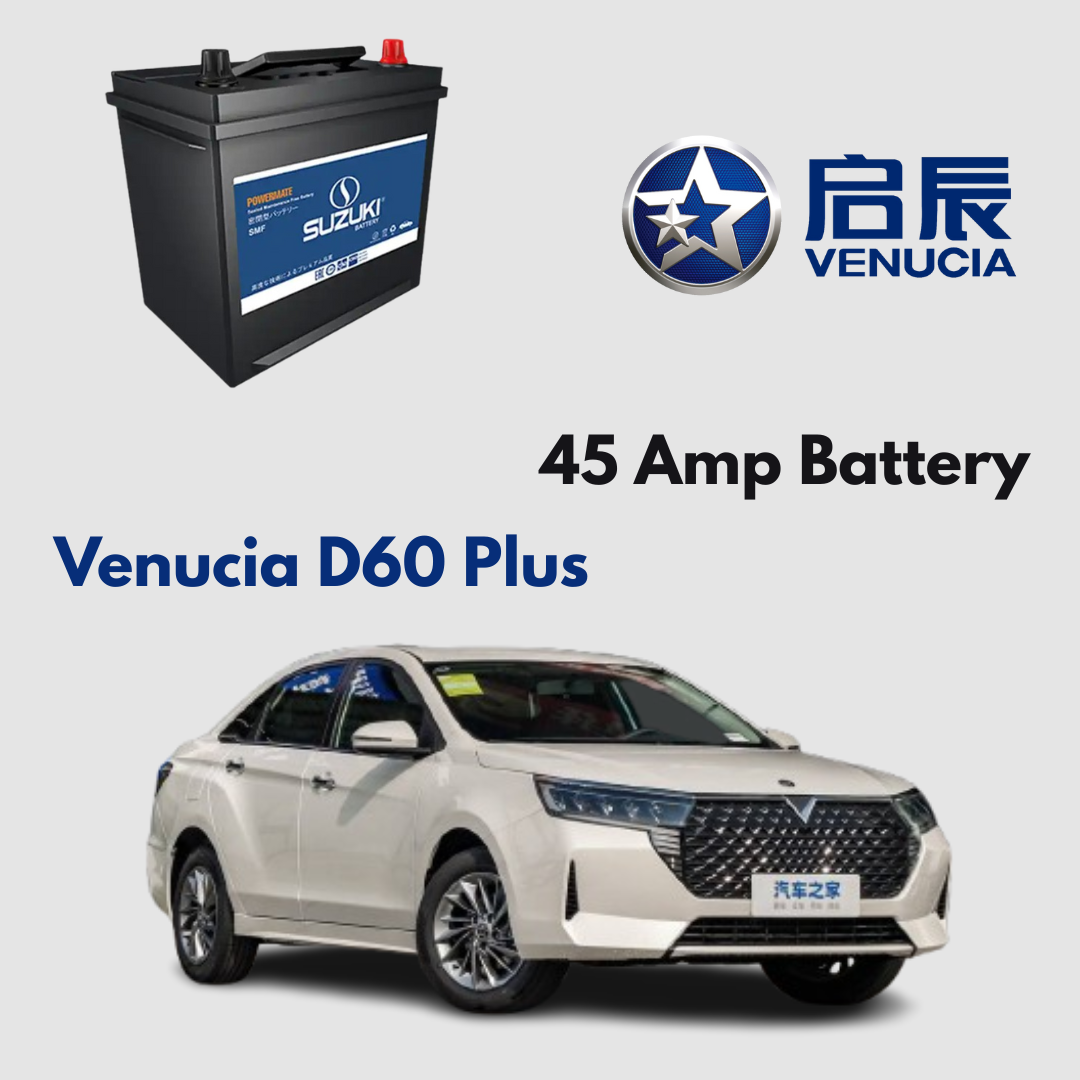Venucia D60 Plus Battery Replacement
