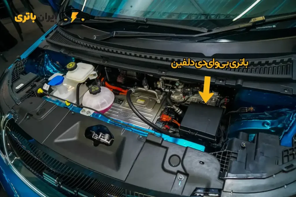 BYD-Dolphin-EV-Launch-19-full